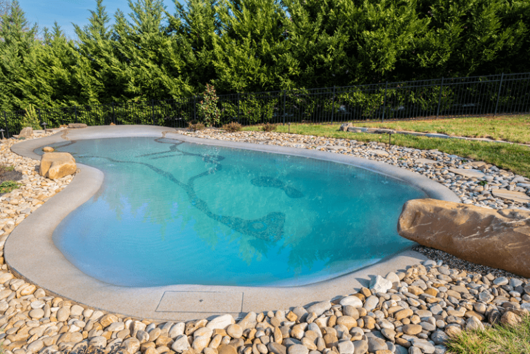 biodesign pool, biodesign swimming pool, biodesign pool reviews, antimicrobial resin, bench style pool, living pool, beach entry pool, inground pools